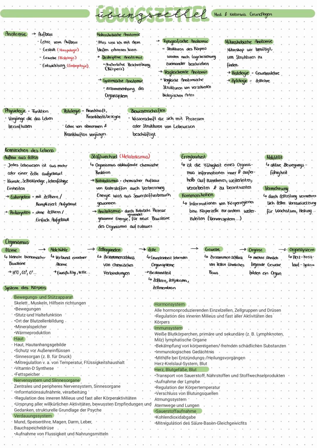 # übungseellel Helt & alturais Grundlegen
Anatomic Aufbau
- Lehre vom Aufbau
-Gestalt (Mocopologic)
- Gewebe (Histologic)
-Entwicklung