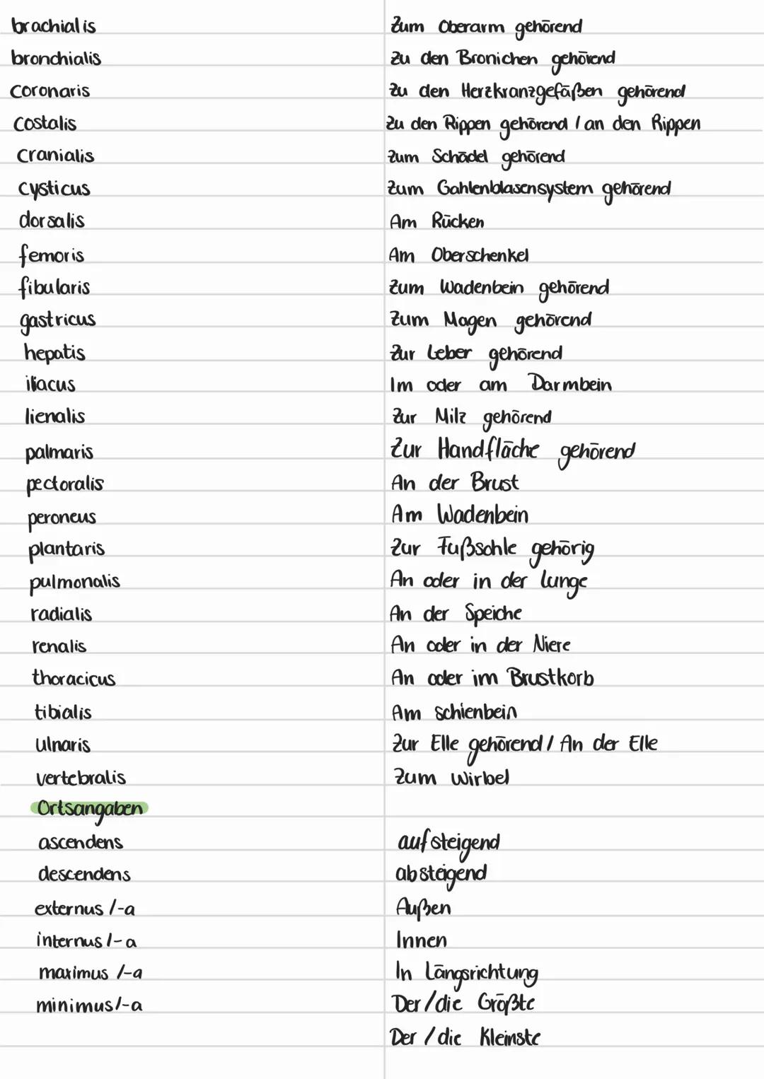 # übungseellel Helt & alturais Grundlegen
Anatomic Aufbau
- Lehre vom Aufbau
-Gestalt (Mocopologic)
- Gewebe (Histologic)
-Entwicklung