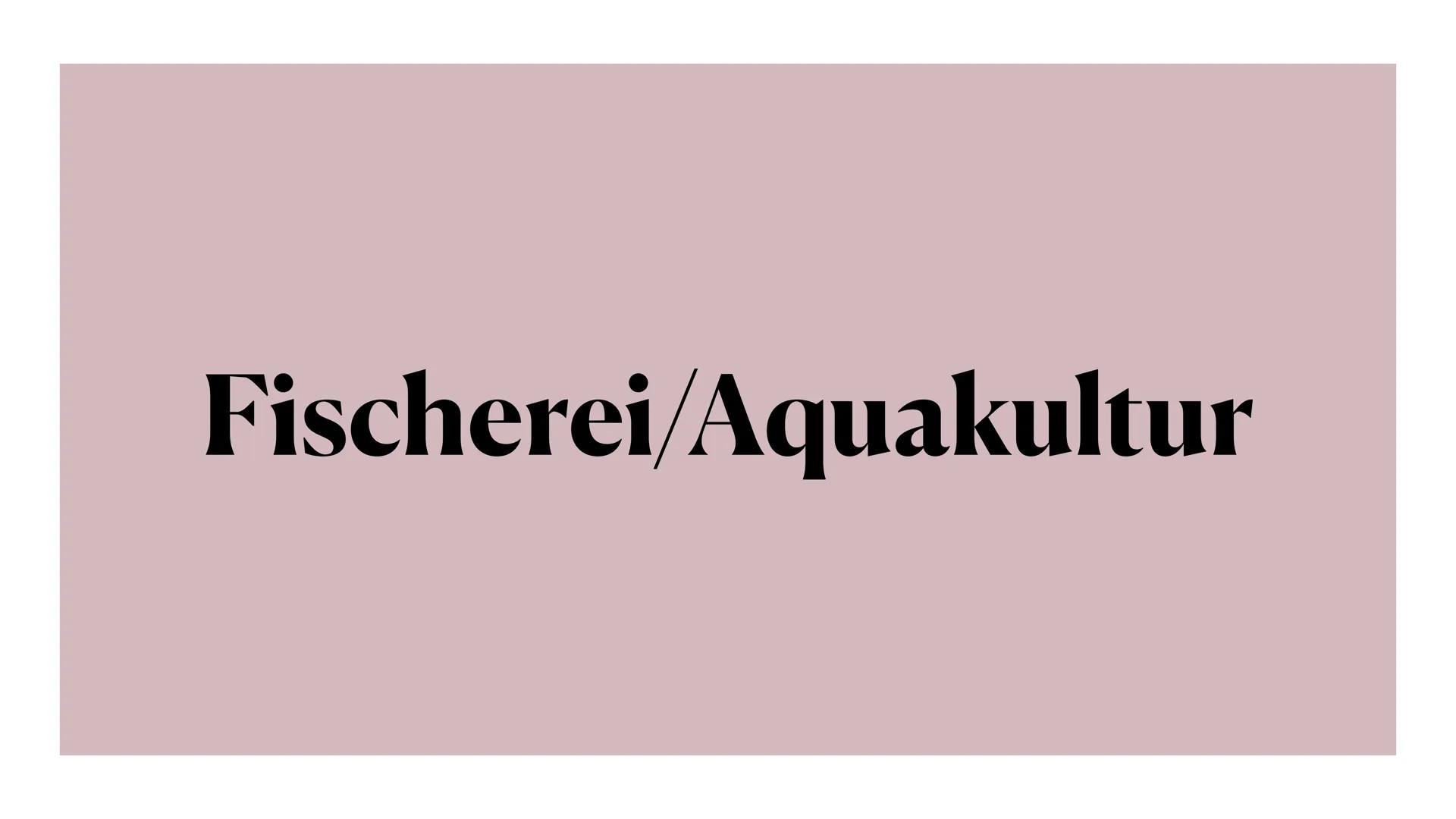 Fischerei/Aquakultur # Gliederung
* Was ist die Aquakultur?
* Arten der Zucht
* Konsumierung der Menschen
* Beispiel an Ländern
*
