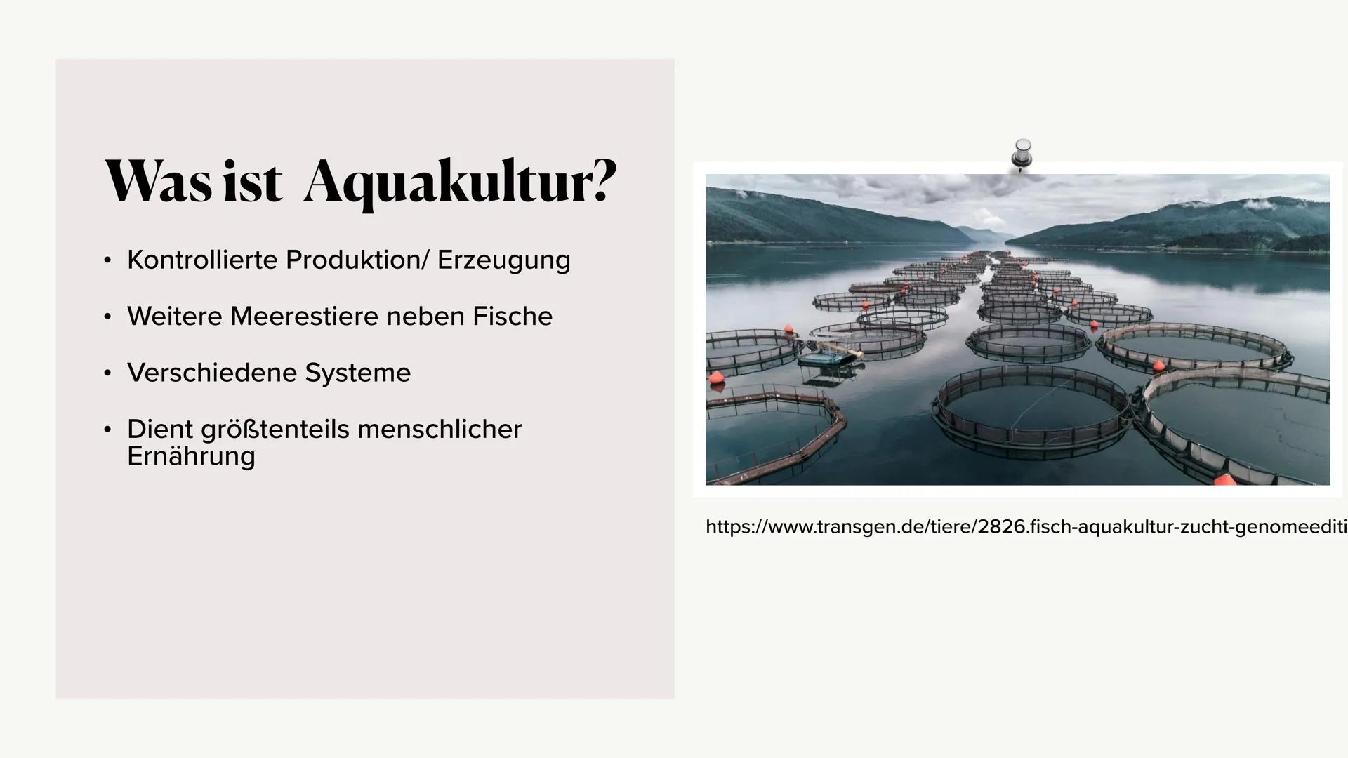 Fischerei/Aquakultur # Gliederung
* Was ist die Aquakultur?
* Arten der Zucht
* Konsumierung der Menschen
* Beispiel an Ländern
*