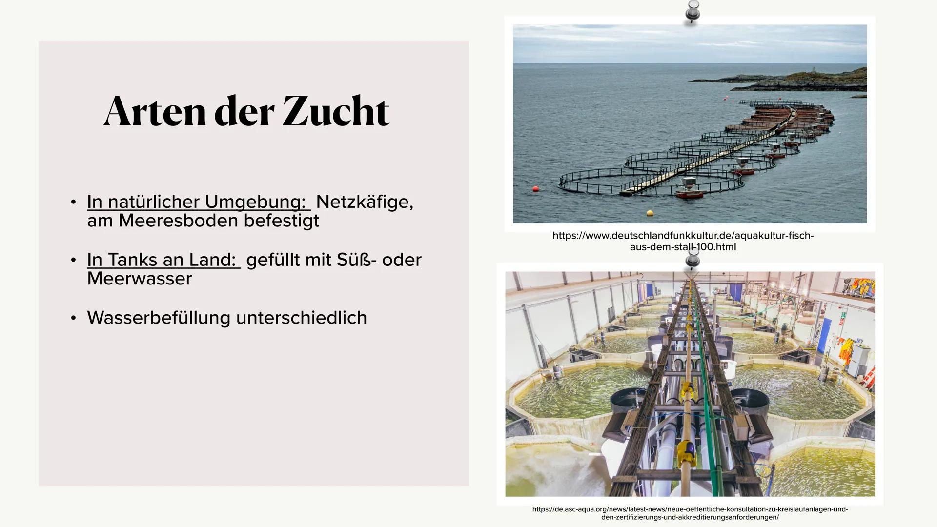 Fischerei/Aquakultur # Gliederung
* Was ist die Aquakultur?
* Arten der Zucht
* Konsumierung der Menschen
* Beispiel an Ländern
*