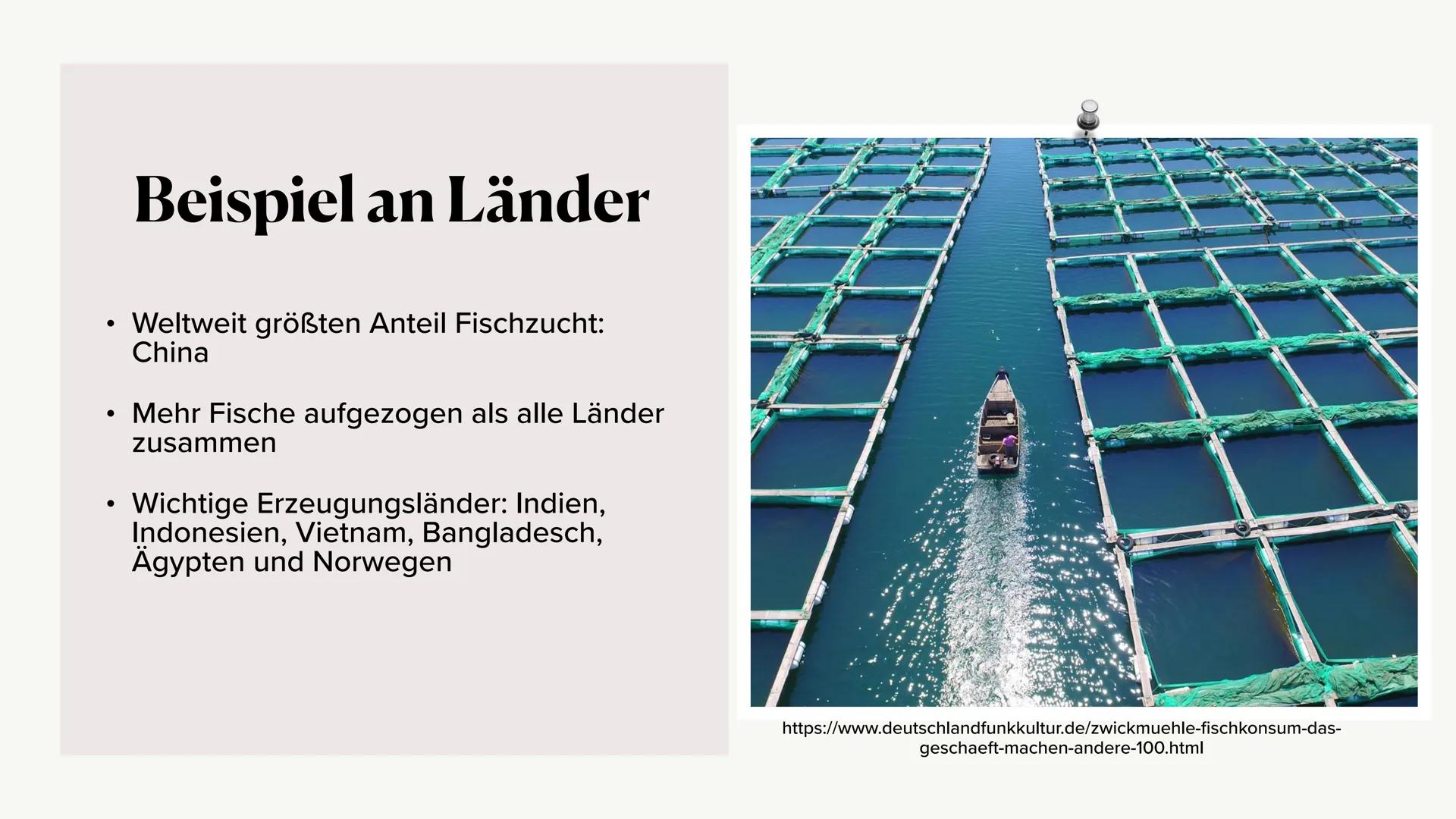Fischerei/Aquakultur # Gliederung
* Was ist die Aquakultur?
* Arten der Zucht
* Konsumierung der Menschen
* Beispiel an Ländern
*