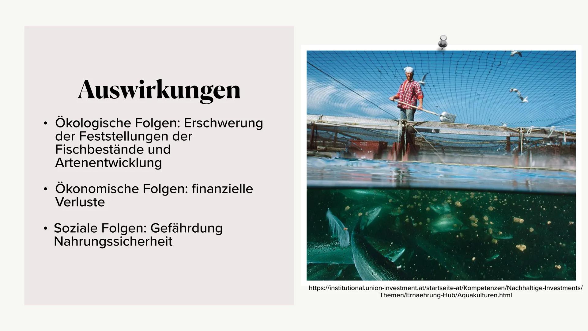 Fischerei/Aquakultur # Gliederung
* Was ist die Aquakultur?
* Arten der Zucht
* Konsumierung der Menschen
* Beispiel an Ländern
*