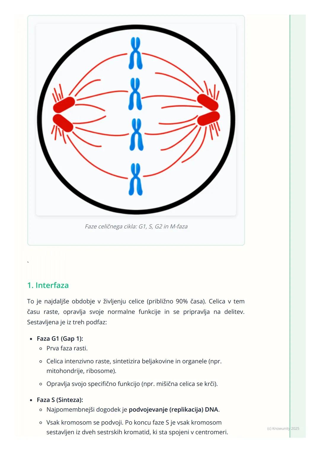 # Celični cikel in delitev celic
## Pregled celičnega cikla
Celični cikel je urejeno zaporedje dogodkov v življenju celice, ki vodi v njen