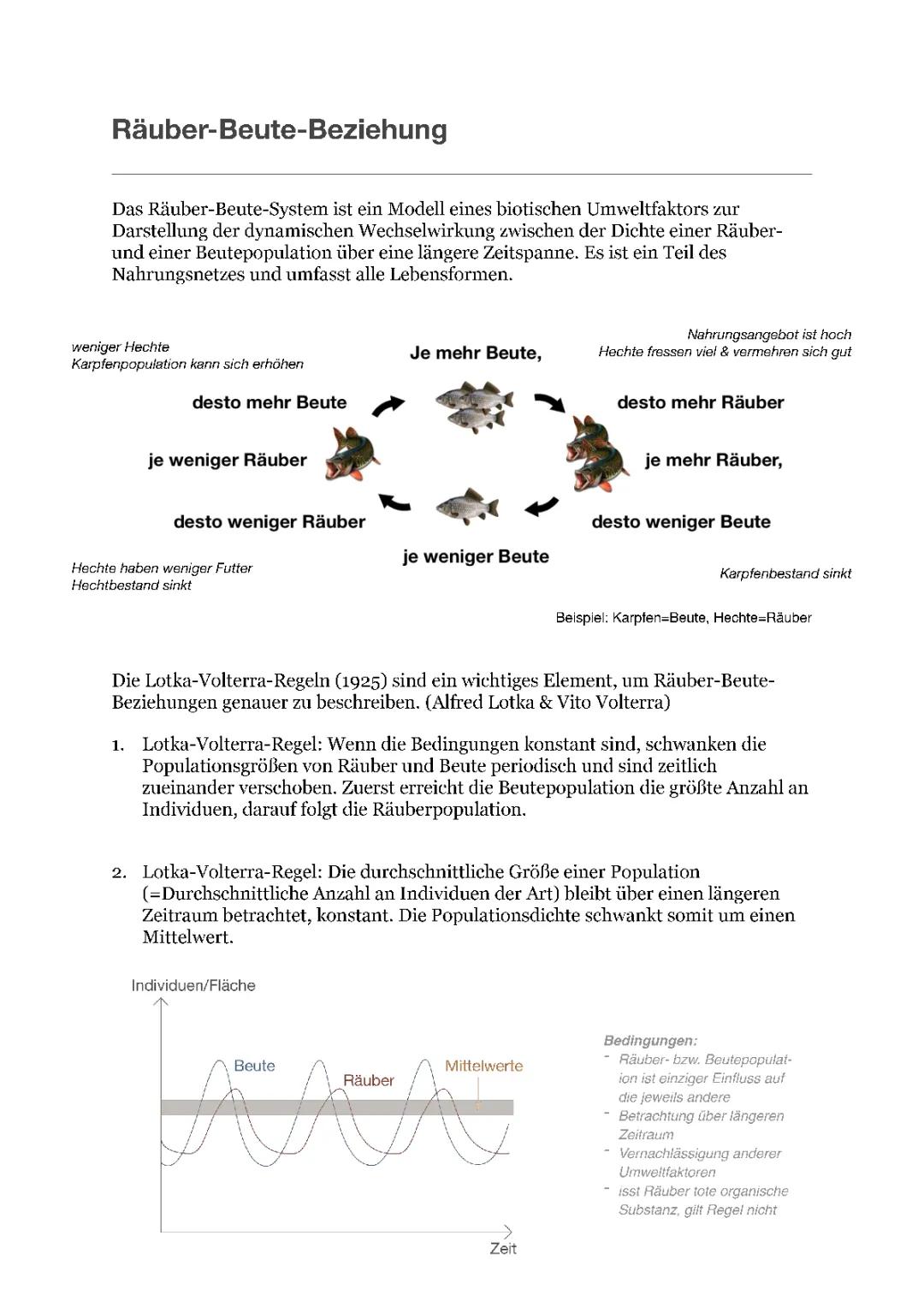 Räuber-Beute-Beziehungen: Lotka-Volterra-Regeln einfach erklärt