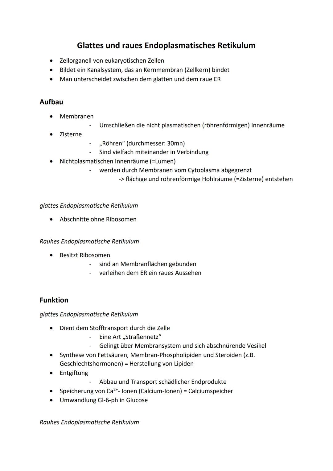 • Zellorganell von eukaryotischen Zellen
● Bildet ein Kanalsystem, das an Kernmembran (Zellkern) bindet
Man unterscheidet zwischen dem glatt