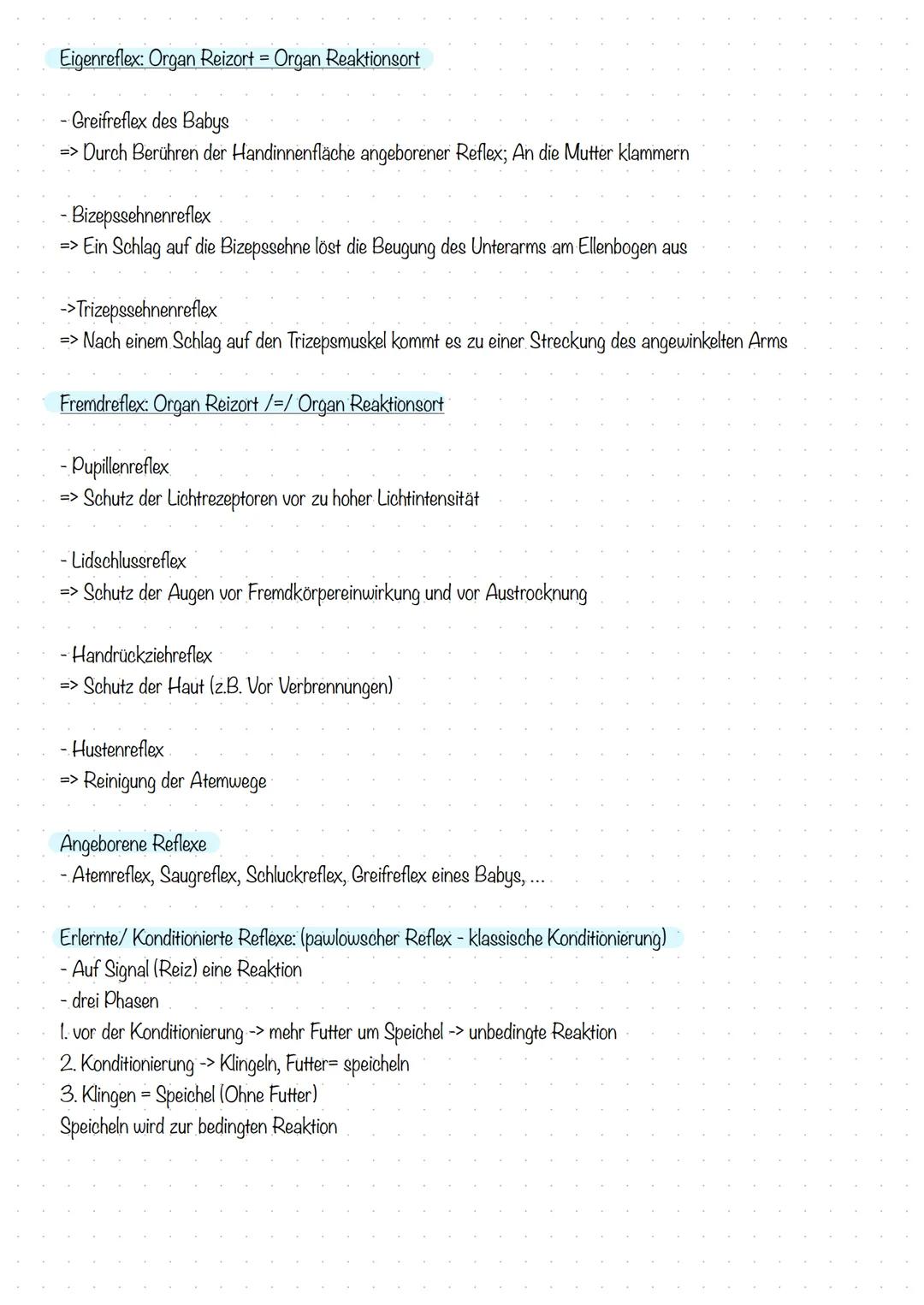 Reiz, Erregung und Reaktion
Biologie - Sinne und Nerven
Reiz:
Eine Veränderung der Umwelt, die in einem Lebewesen eine Erregung auslöst.
(Ei