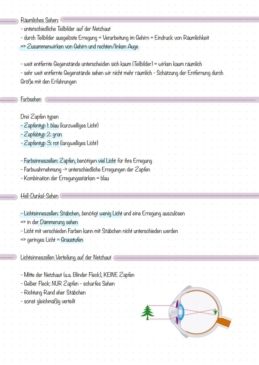 Reiz, Erregung und Reaktion
Biologie - Sinne und Nerven
Reiz:
Eine Veränderung der Umwelt, die in einem Lebewesen eine Erregung auslöst.
(Ei