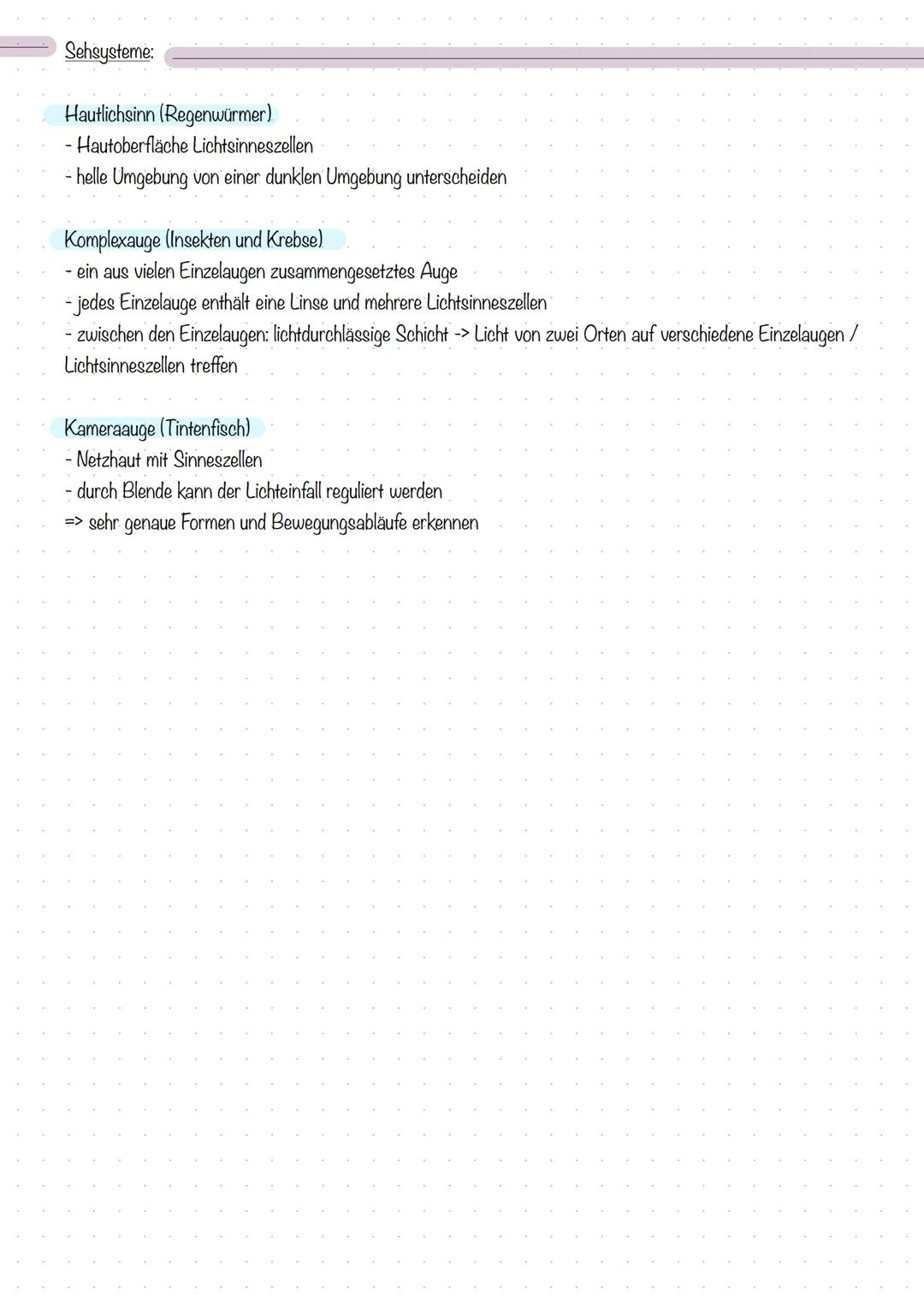 Reiz, Erregung und Reaktion
Biologie - Sinne und Nerven
Reiz:
Eine Veränderung der Umwelt, die in einem Lebewesen eine Erregung auslöst.
(Ei