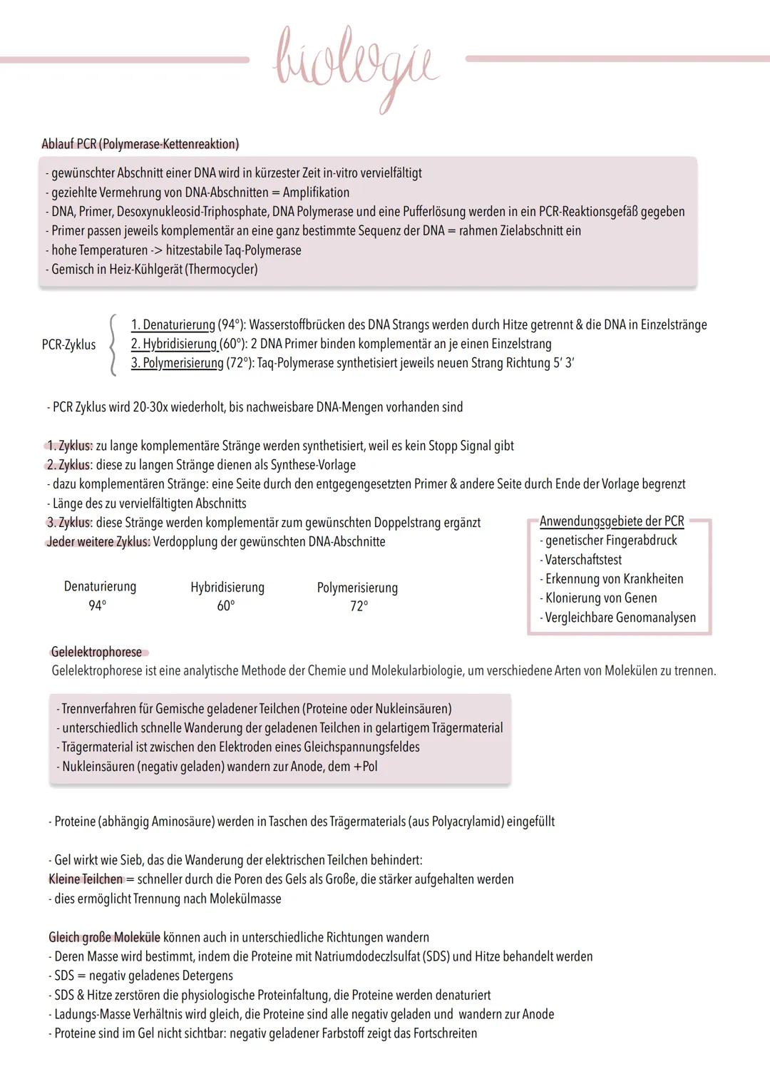 # biologie
Ablauf PCR (Polymerase-Kettenreaktion)
- gewünschter Abschnitt einer DNA wird in kürzester Zeit in-vitro vervielfältigt
- gezie