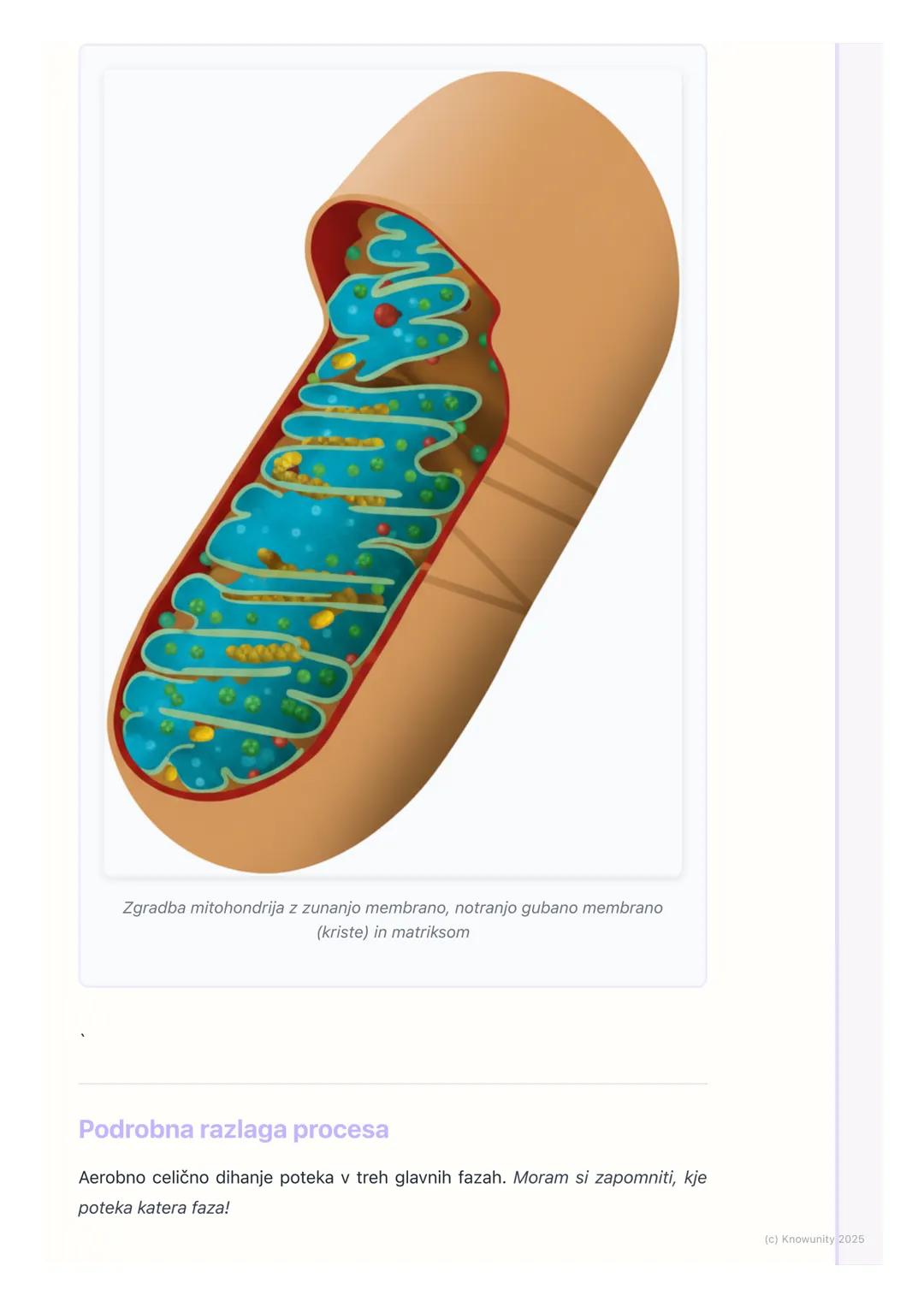 # Celično dihanje
Uvod v celično dihanje
Celično dihanje je proces, pri katerem celice razgrajujejo organske snovi
(predvsem glukozo) in s