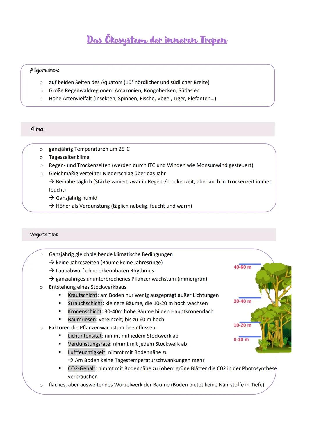 Das Ökosystem der inneren Tropen