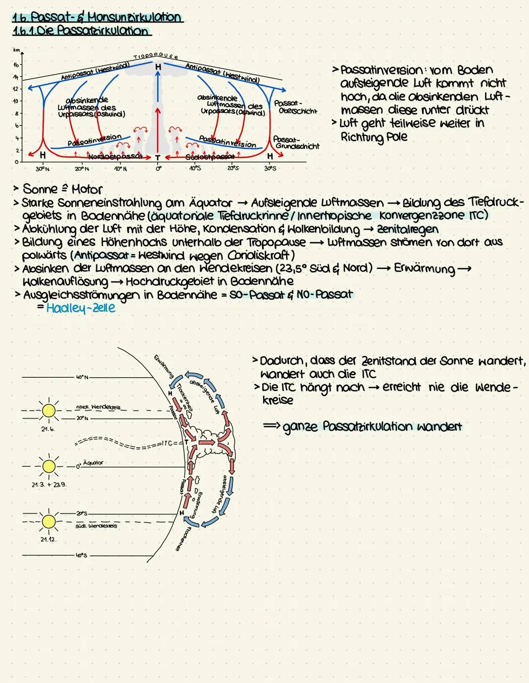1.6. Passat- & Monsunzirkulation
1.6.1.Die Passatzirkulation
km
16
14
12
10
H
30⁰ N
21.6.
Antipassat (Westwind))
gbsinkende
Luftmassen des
U
