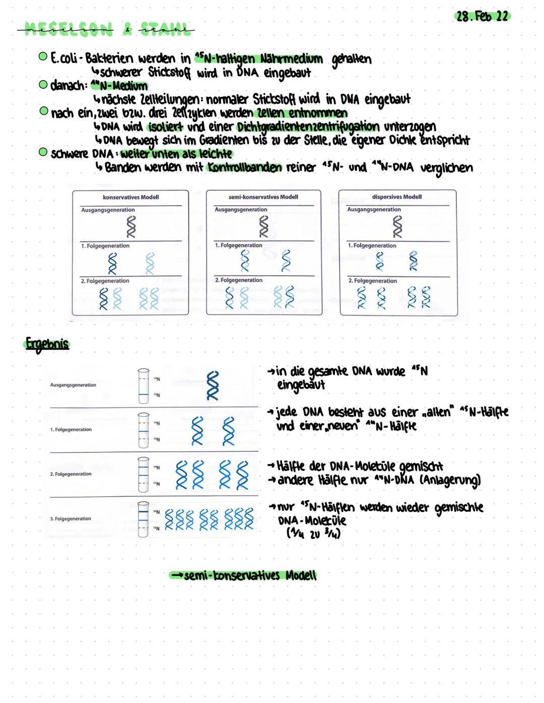 # BIOLOGIEKLAUSUR
am 02. März 2022
Phosphatgruppe
Adenin
Desoxyribose (Zucker)
Thymin
T
Cytosin
Guanin
Diese Anordnung
nennt man: N