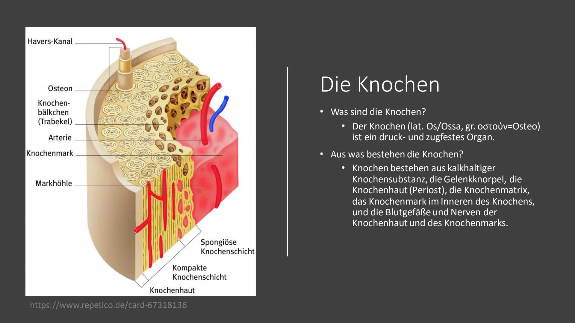 Osteoporose # Was ist Osteoporose?
https://www.osd-ev.org/osteoporose/einfuehrung/
Die Osteoporose wird gemeinhin auch als
Knochenschwund