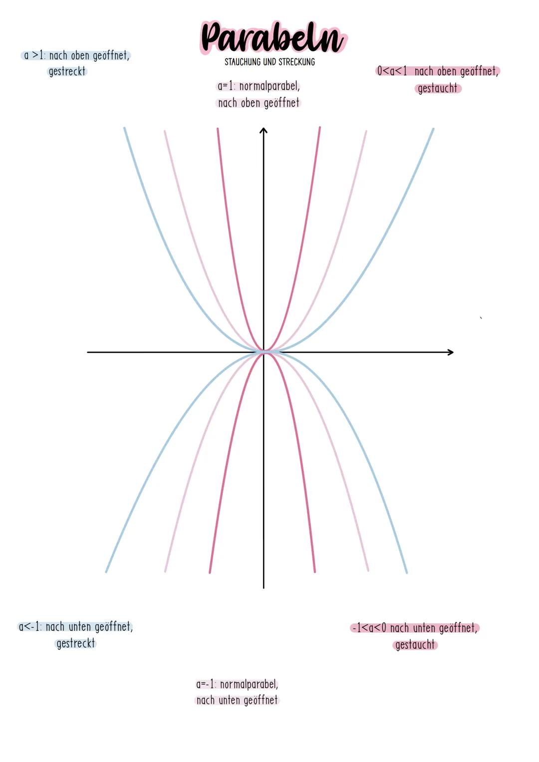 a >1 nach oben geöffnet,
gestreckt
a<-1: nach unten geöffnet,
gestreckt
Parabeln
STAUCHUNG UND STRECKUNG
a=1: normalparabel,
nach oben geöff