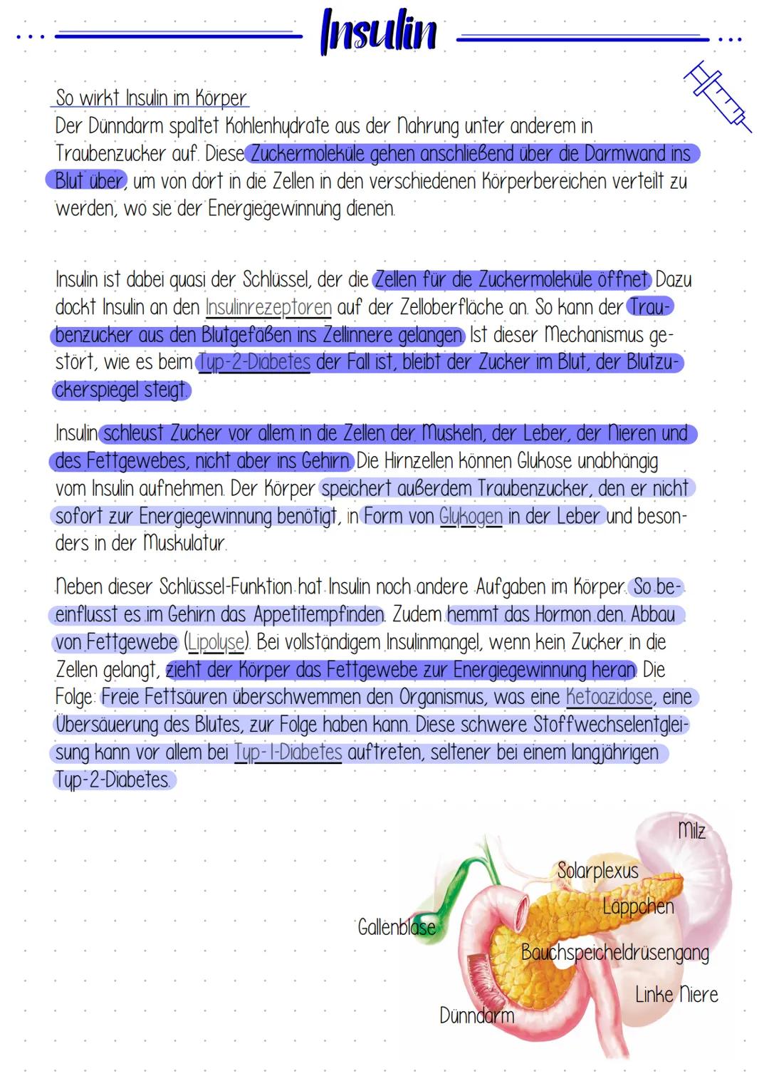 Insulin Insulin
So wirkt Insulin im Körper
Der Dünndarm spaltet Kohlenhydrate aus der Nahrung unter anderem in
Traubenzucker auf. Diese Zuck