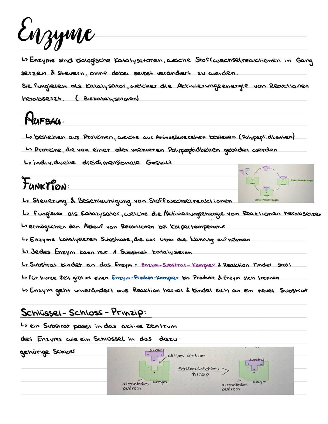 Enzyme
L> Enzyme sind biologische katalysatoren, welche Stoffwechse(reaktionen in Gang
setzen & Stevern, ohne dabei selbst verändert zu werd