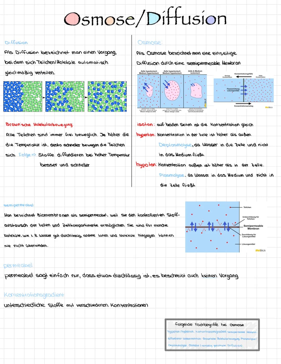# Osmose/Diffusion
## Diffusion
Als Diffusion bezeichnet man einen Vorgang,
bei dem sich Teilchen/Moleküle automatisch
gleichmäßig verteile