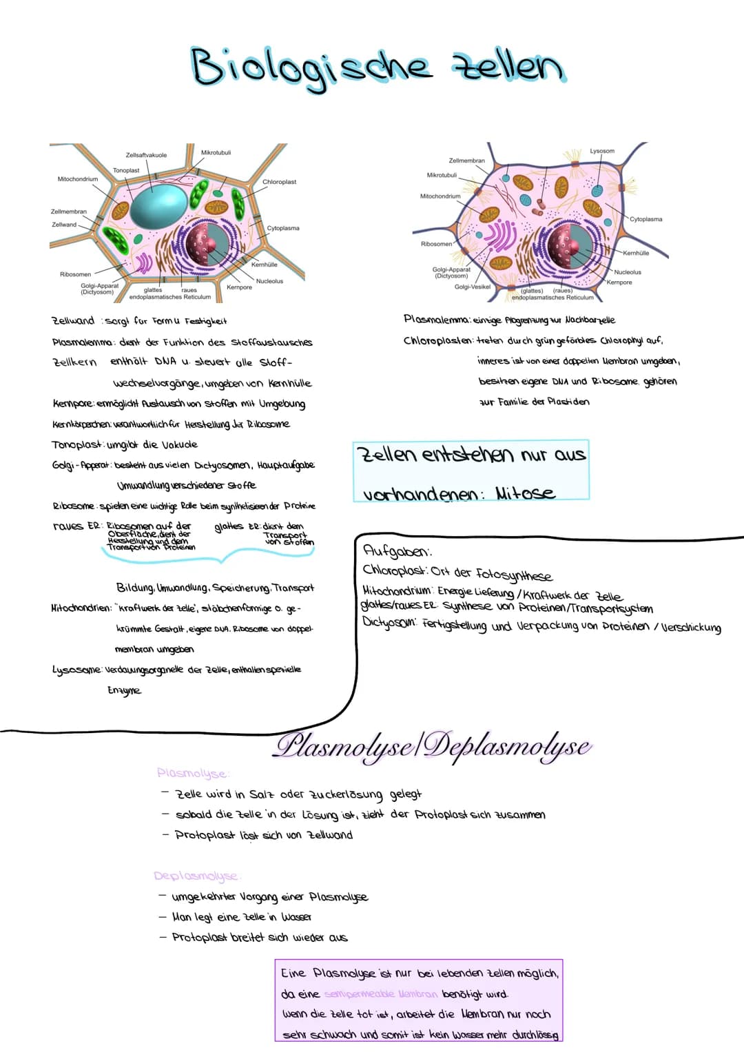 # Osmose/Diffusion
## Diffusion
Als Diffusion bezeichnet man einen Vorgang,
bei dem sich Teilchen/Moleküle automatisch
gleichmäßig verteile