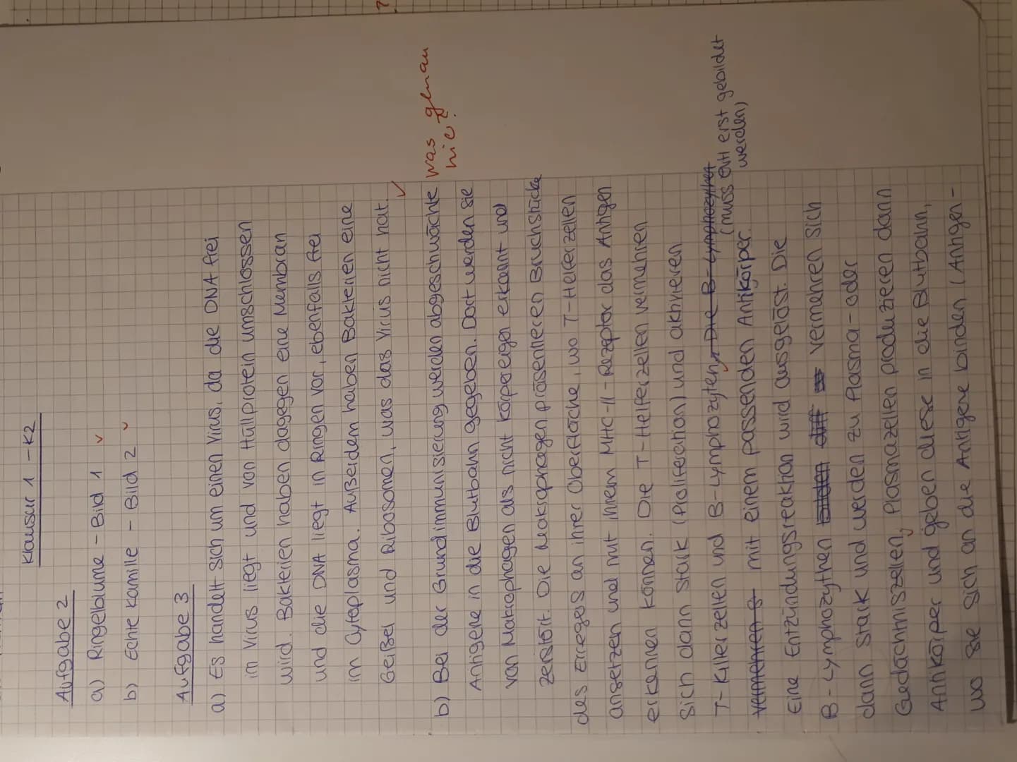 # Klausur 1 -K2
## Aufgabe 2
a) Ringelblume - Bild 1
b) Echte kamille - Bild 2
## Aufgabe 3
a) Es handelt sich um einen Virus, da die DNA