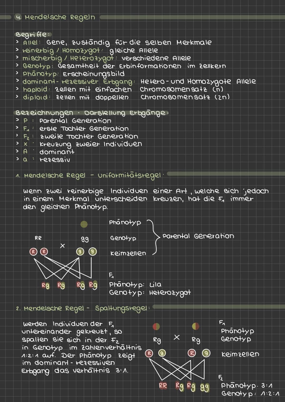 # KA: GENETIK - ÜBERSICHT
## 1.) Chromosomen und DNA:
Chromatid
- kuner Chromosomen Arm
- zentromer
- langer Chromosomen Arm
DNA: Desoxyr