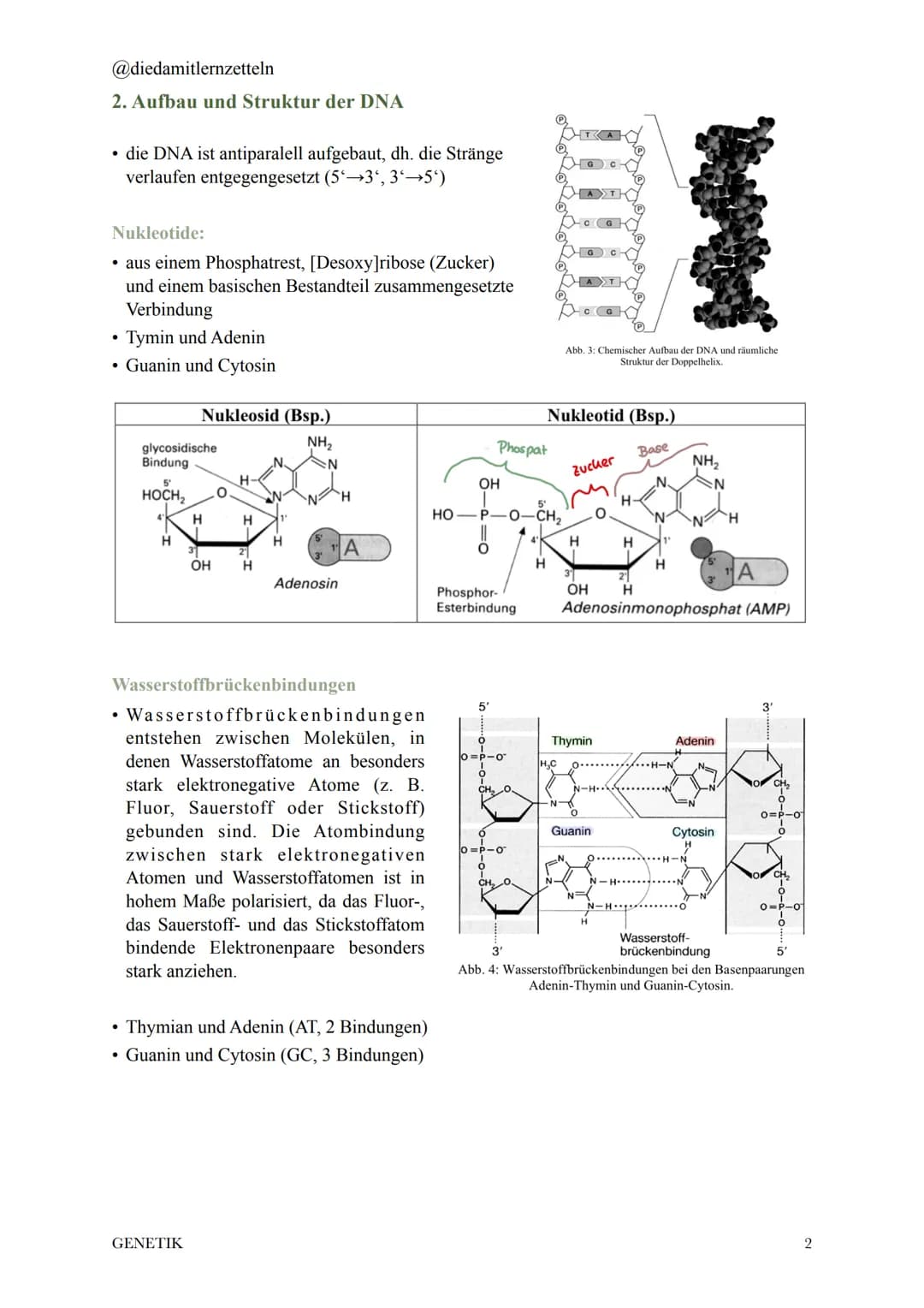 @diedamitlernzetteln
# 1. Chromosomen und DNA
* 2 Meter DNA komprimiert als Chromosom in einen kleinen Zellkern
* **Histone**: Struktu