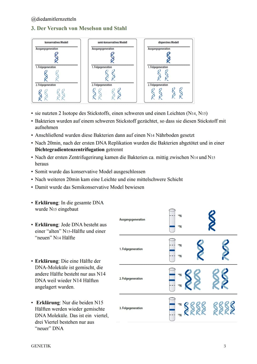 @diedamitlernzetteln
# 1. Chromosomen und DNA
* 2 Meter DNA komprimiert als Chromosom in einen kleinen Zellkern
* **Histone**: Struktu