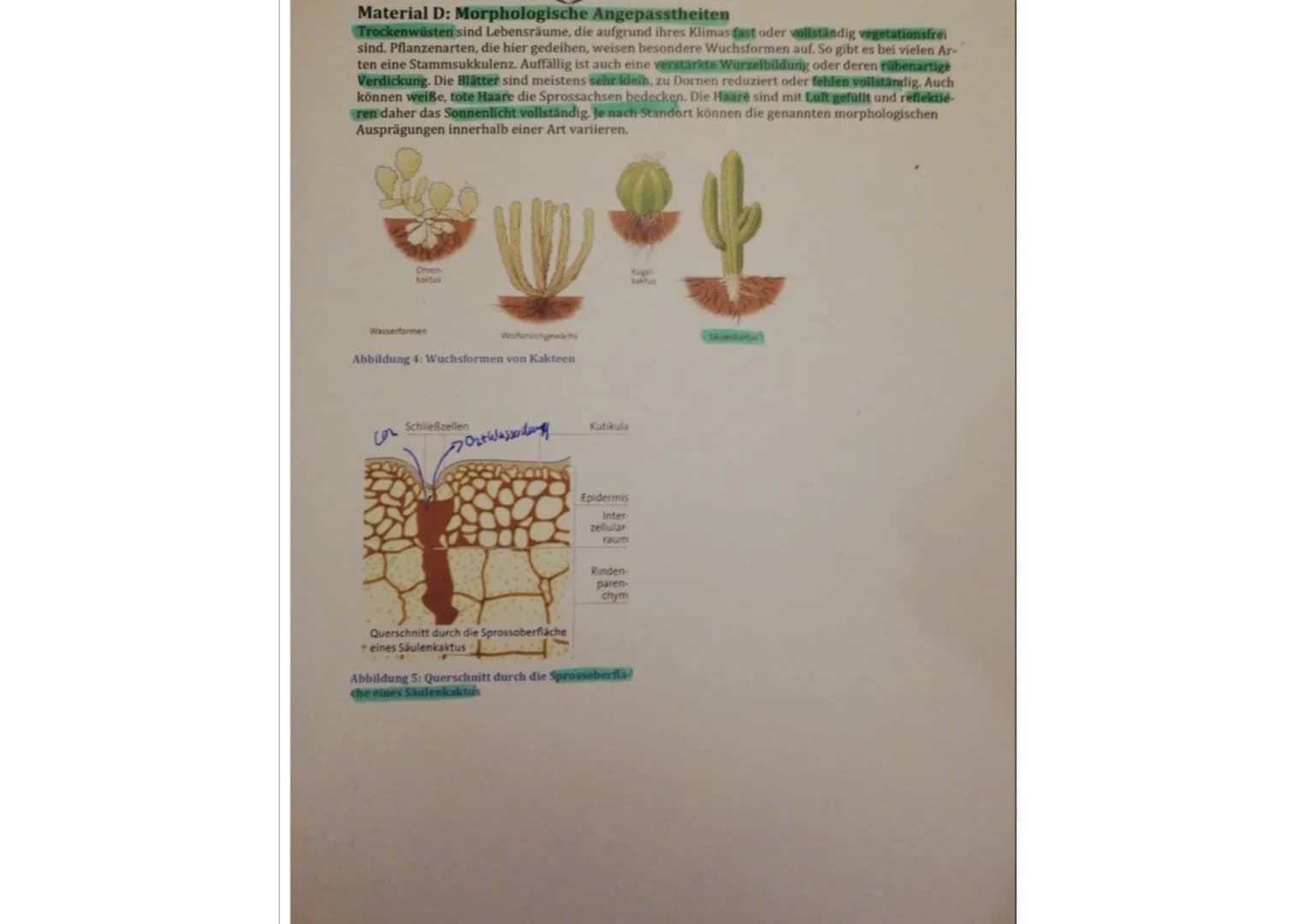 Aufgabe 1a:
# Die Schülerin / der Schüler
zeichnet ein Diagramm zur Wurzeloberfläche in Ab-
hängigkeit zur Wasserverfügbarkeit.
erreichba