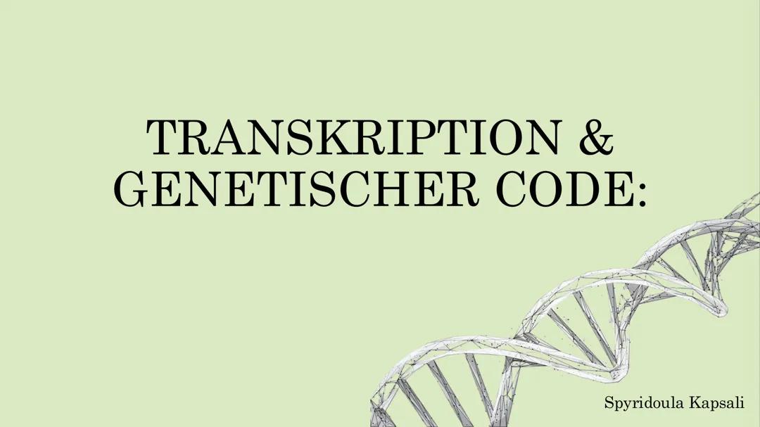 Proteinbiosynthese, Transkription und genetischer Code