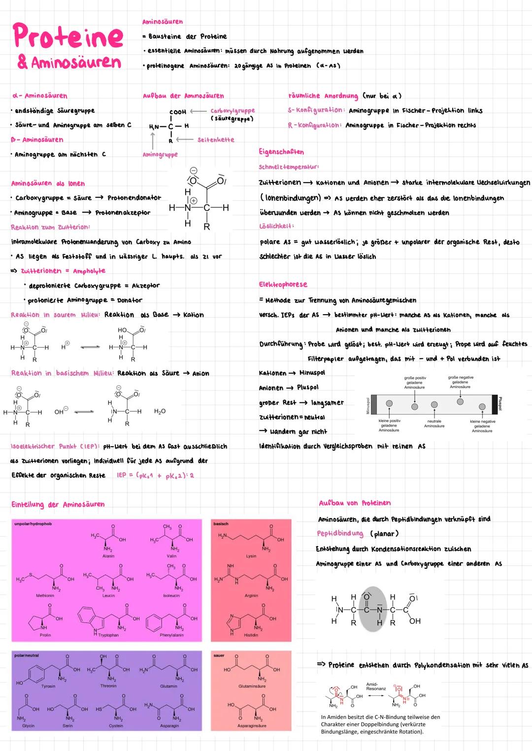 Proteine
& Aminosäuren
d-Aminosäuren
•endständige Säuregruppe
• Säure- und Aminogruppe am selben C
B-Aminosäuren
• Aminogruppe am nächsten c