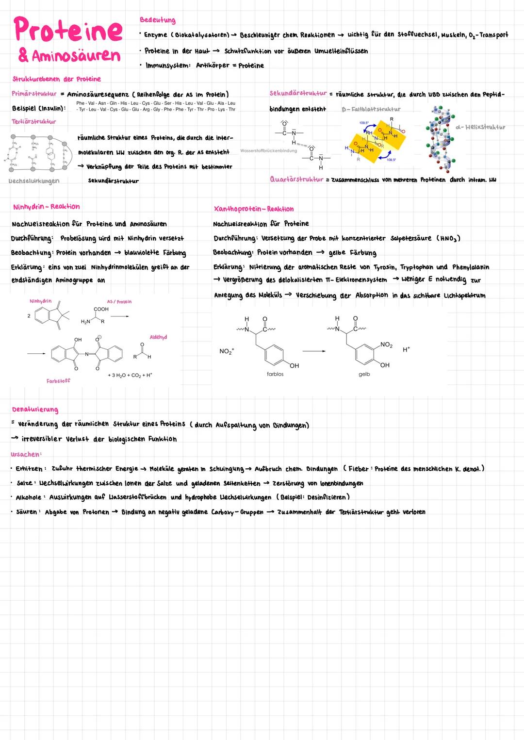 Proteine
& Aminosäuren
d-Aminosäuren
•endständige Säuregruppe
• Säure- und Aminogruppe am selben C
B-Aminosäuren
• Aminogruppe am nächsten c