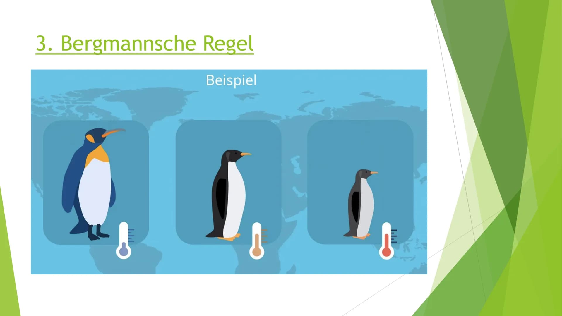 Abiotischer Faktor
Temperatur bei Tieren # Inhaltsverzeichnis
1. Wechselwarme Tiere
2. Gleichwarme Tiere
3. Bergmannsche Regel
4. Allensche
