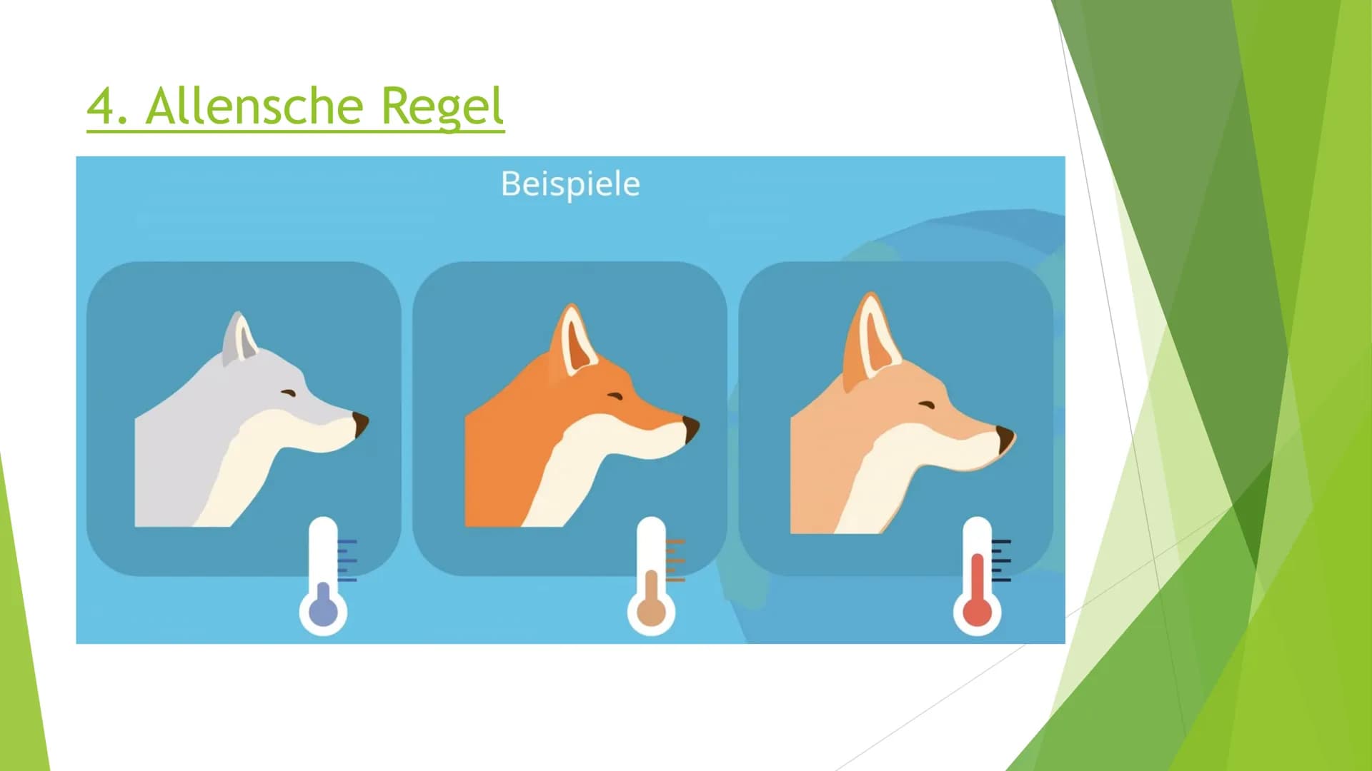 Abiotischer Faktor
Temperatur bei Tieren # Inhaltsverzeichnis
1. Wechselwarme Tiere
2. Gleichwarme Tiere
3. Bergmannsche Regel
4. Allensche