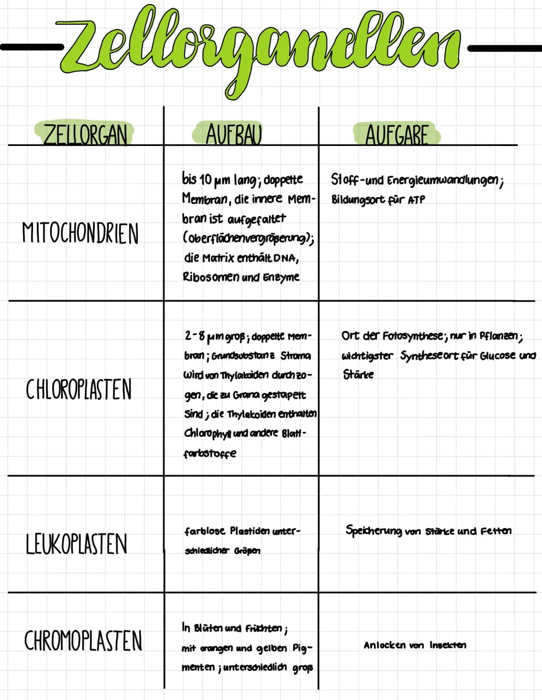 ## GOLGI-APPARAT
Stapel flacher Membran -
Säckchen; Gesamtheit aller
Dictyosomen einer Zelle ist der
GOLGI-Apparat
bietet Reaktionsräume; Pr