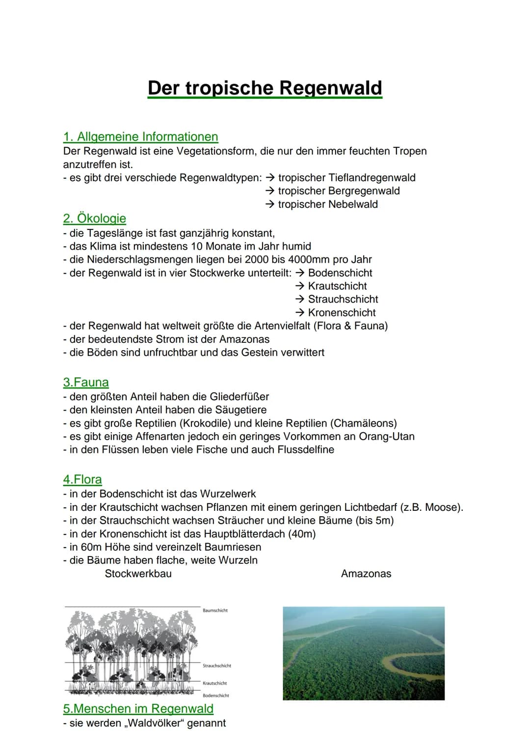 # Der tropische Regenwald
## 1. Allgemeine Informationen
Der Regenwald ist eine Vegetationsform, die nur den immer feuchten Tropen
anzutref