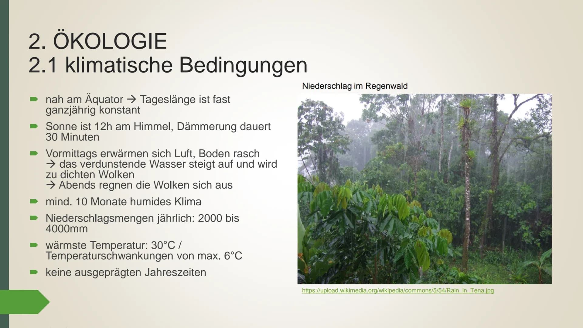 # Der tropische Regenwald
## 1. Allgemeine Informationen
Der Regenwald ist eine Vegetationsform, die nur den immer feuchten Tropen
anzutref