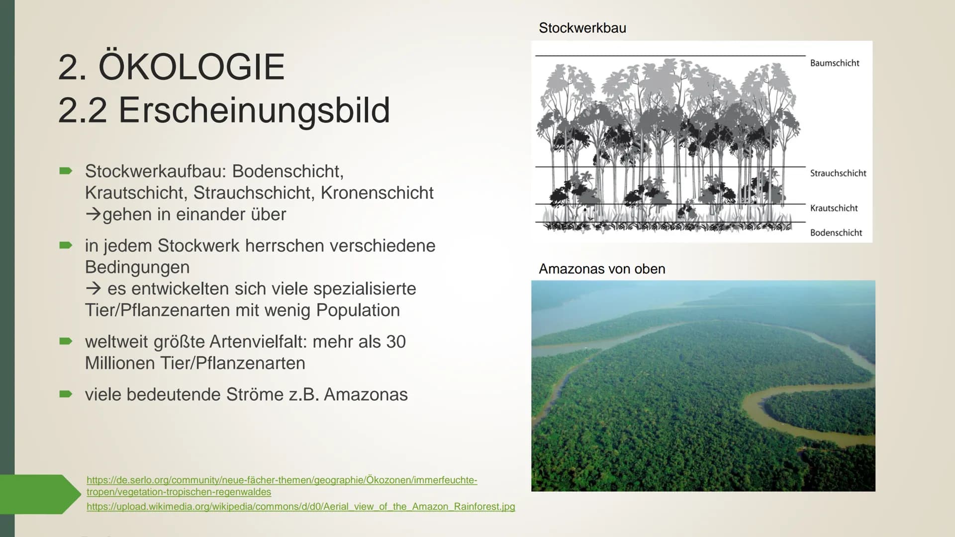 # Der tropische Regenwald
## 1. Allgemeine Informationen
Der Regenwald ist eine Vegetationsform, die nur den immer feuchten Tropen
anzutref