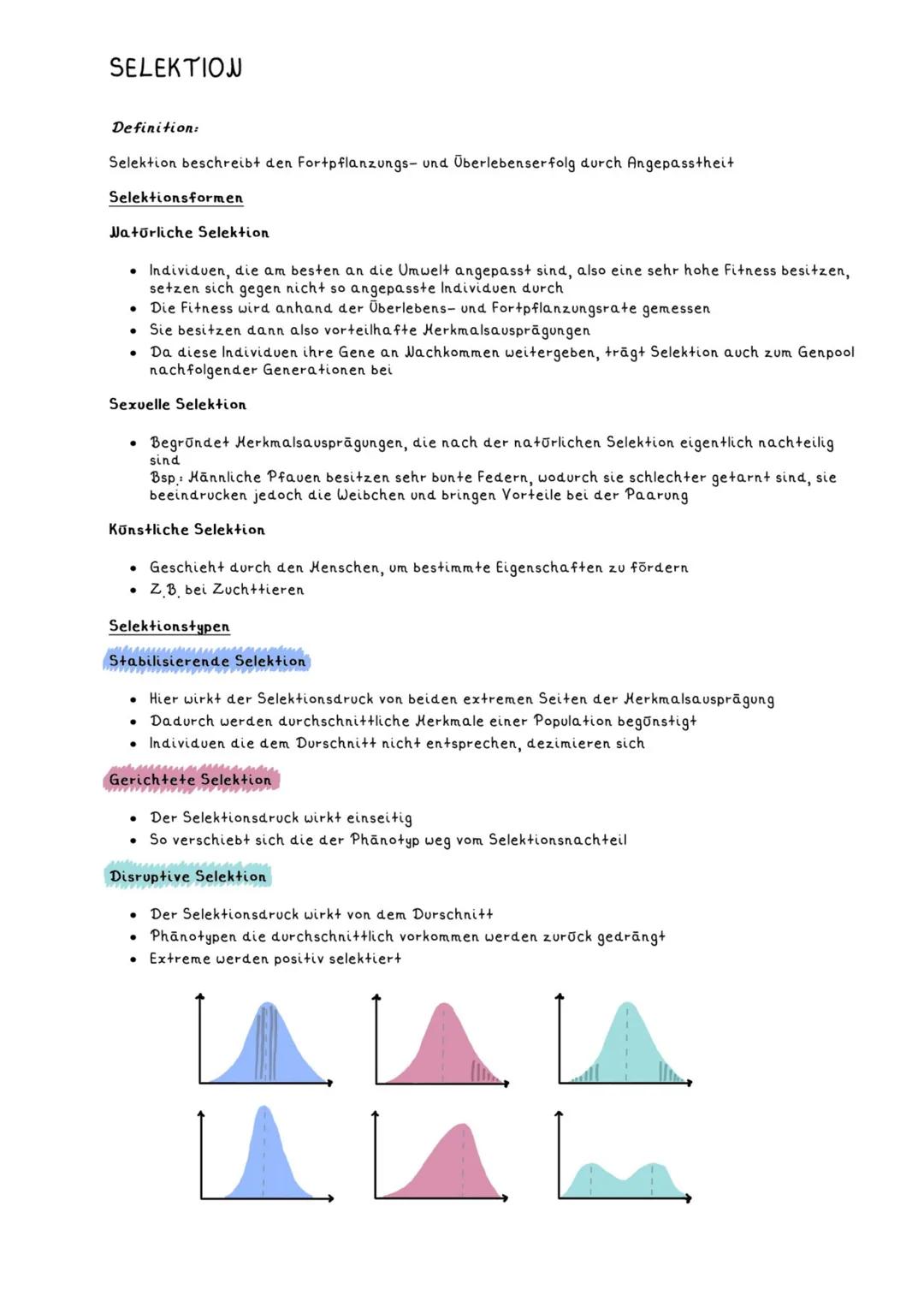 # SELEKTION
Definition:
Selektion beschreibt den Fortpflanzungs- und Überlebenserfolg durch Angepasstheit
Selektionsformen
## Natürliche