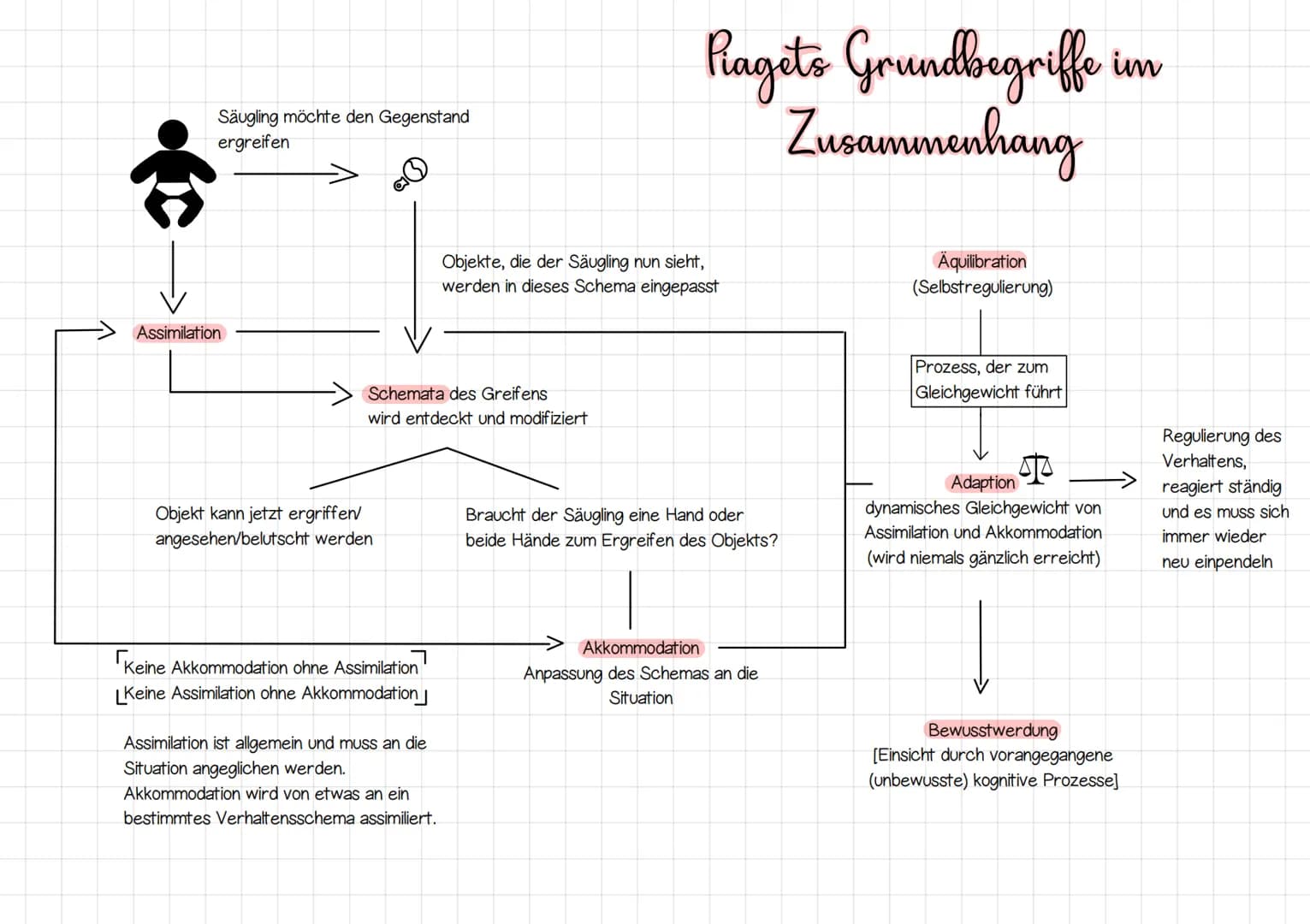 # Lernjob Entwicklungstheorien: Kognitive Entwicklung nach Jean Piaget
## I. Klärung der Grundbegriffe der Theorie Piagets
### Adaption
Mit