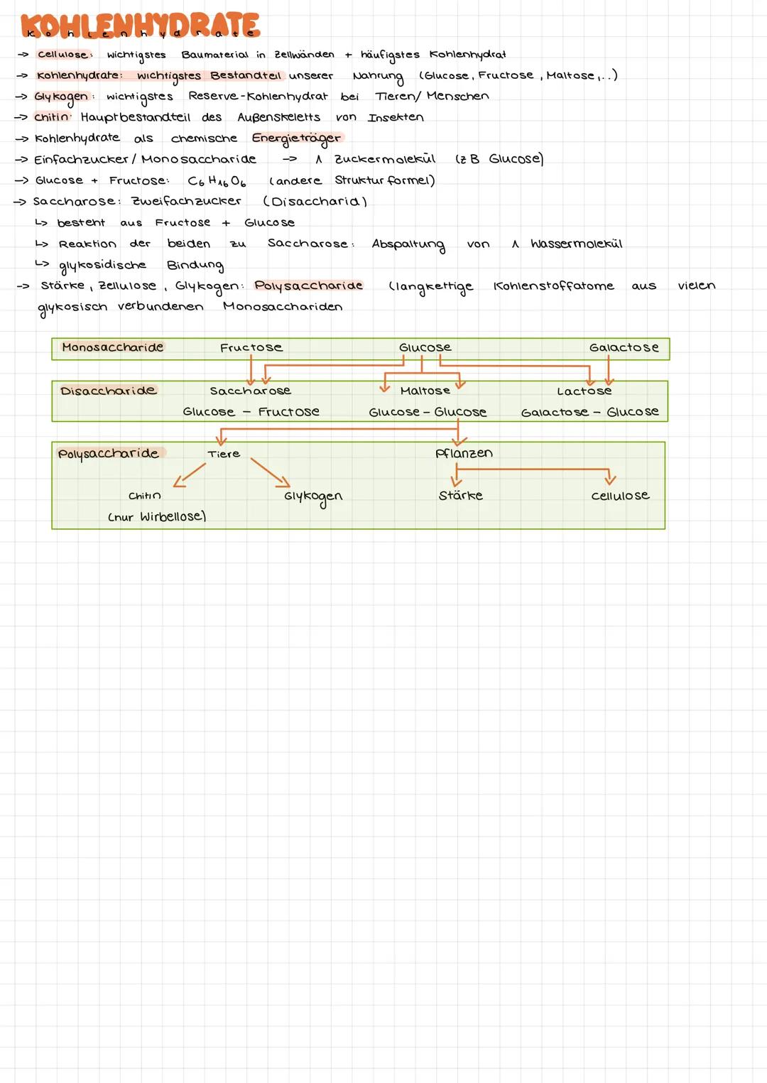 BERETTSTELLUNG VON ENERGIE AUS GLUCOSE
→ organismen benötigen zur Aufrechterhaltung von Körpertemperatur / Lebensvorgänge Energie
-> Energie