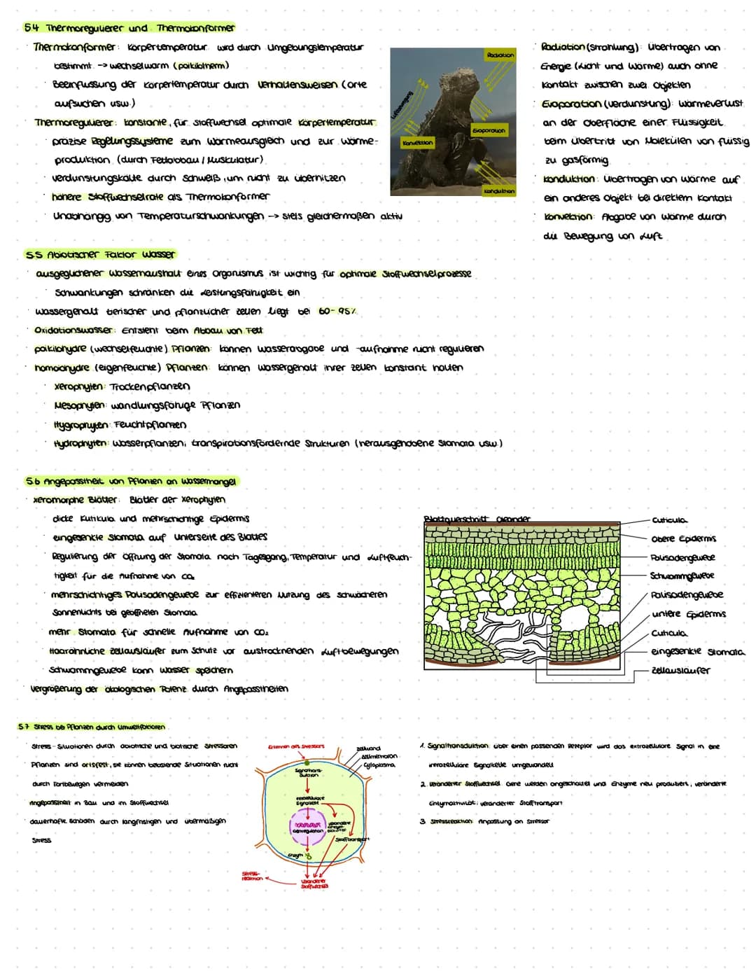 Ökologie 1 – Seite 4