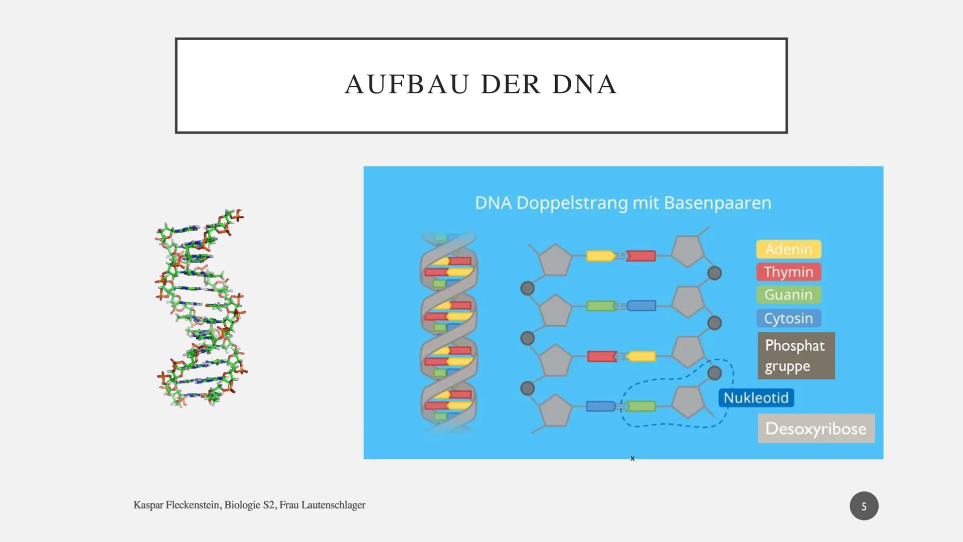 DNA-SEQUENZIERUNG NACH SANGER
Präsentationsleistung am 23.02.2021 von Kaspar Fleckenstein, Biologie S2, Frau Lautenschlager
1 # THEMA UND