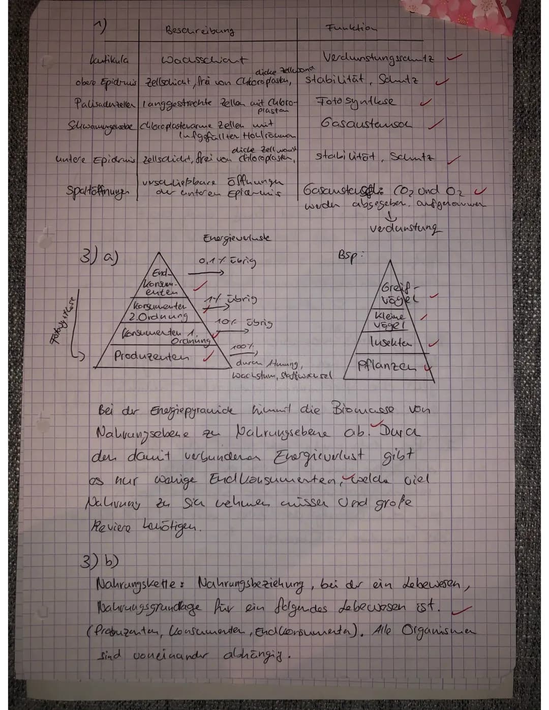 <p>Ein Ökosystem setzt sich aus verschiedenen Nahrungsketten zusammen, die miteinander zu einem Nahrungsnetz verknüpft sind. Je artenreiche