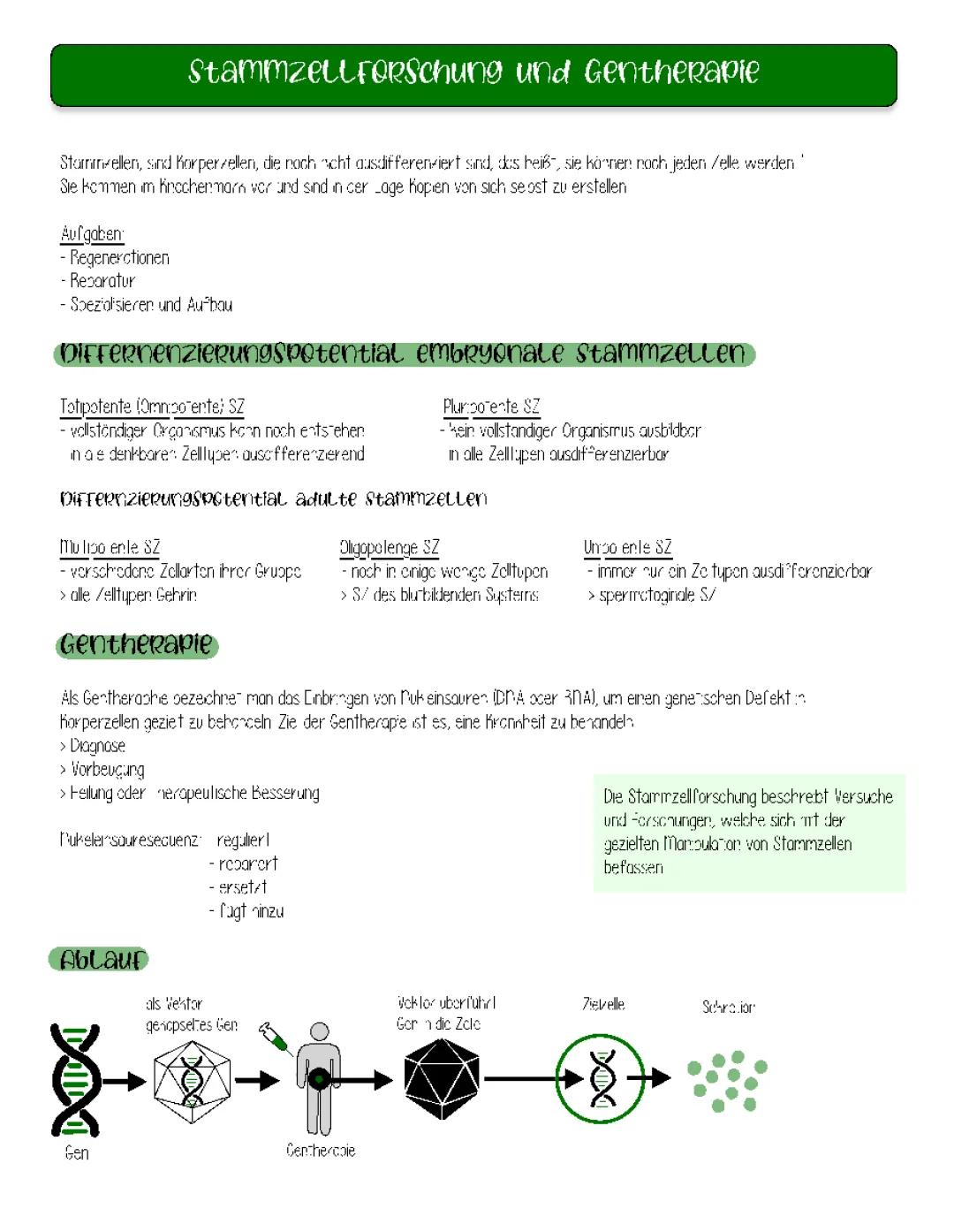Stammzellenforschung