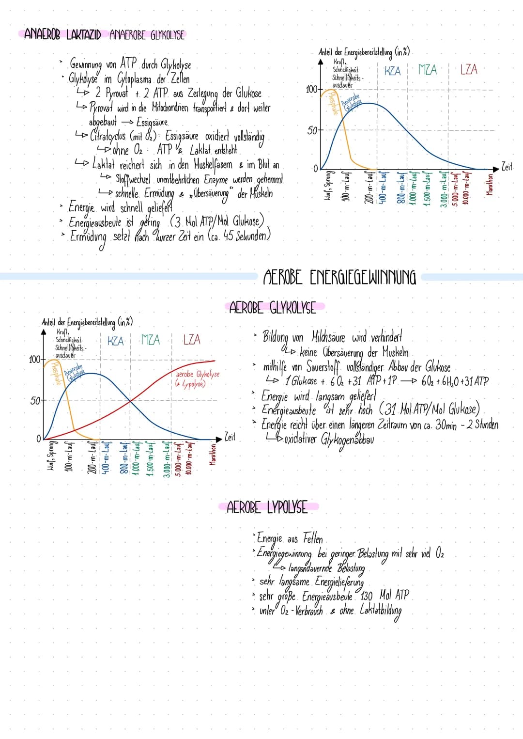 # ANAEROB LAKTAZID ANAEROBE GLYKOLYSE
- Gewinnung von ATP durch Glykolyse
- Glykolyse im Cytoplasma der Zellen
- > $2$ Pyrovat + $2$ ATP a