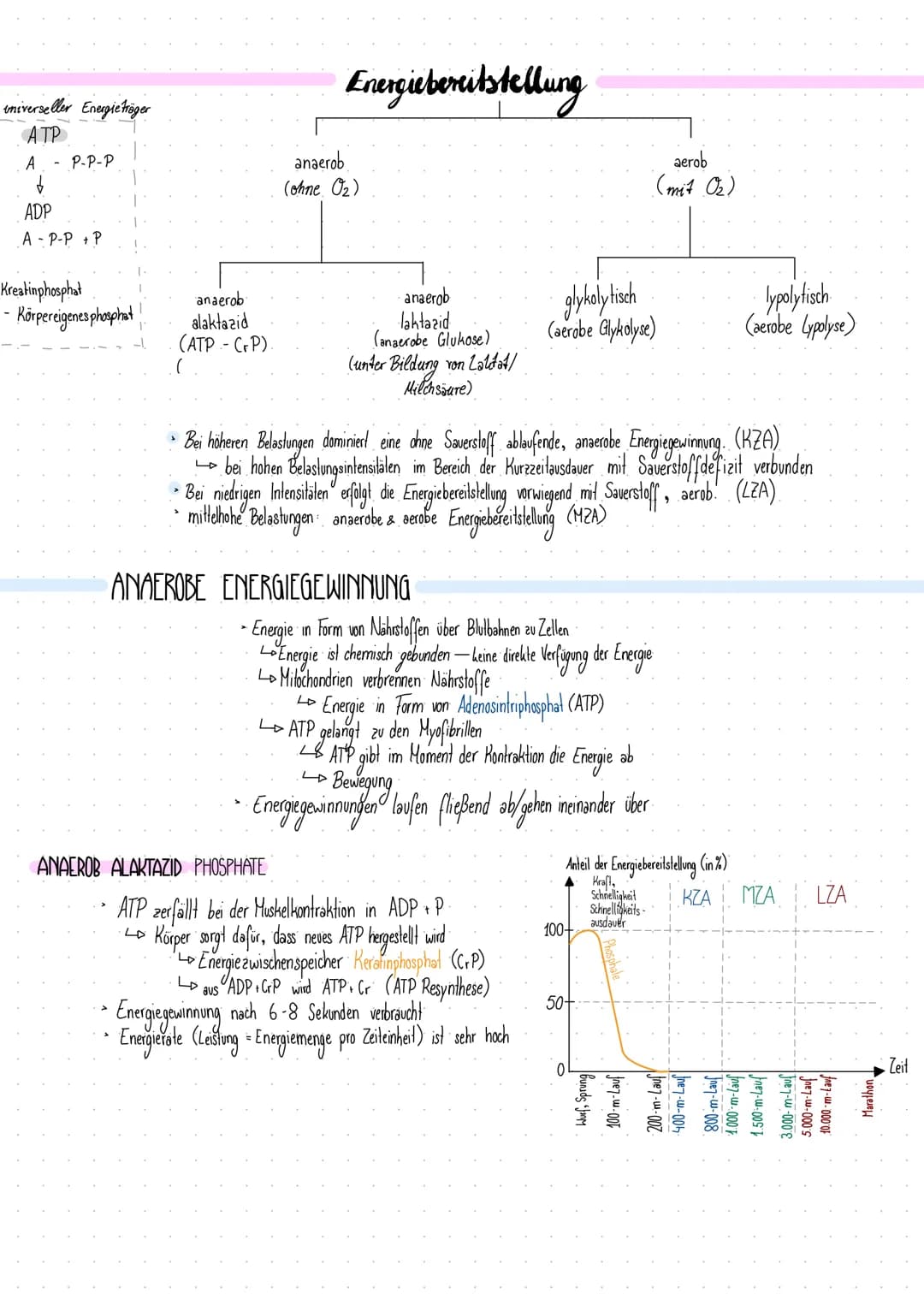 # ANAEROB LAKTAZID ANAEROBE GLYKOLYSE
- Gewinnung von ATP durch Glykolyse
- Glykolyse im Cytoplasma der Zellen
- > $2$ Pyrovat + $2$ ATP a