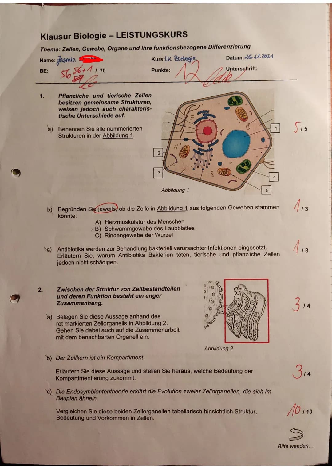 # Klausur Biologie - LEISTUNGSKURS
Thema: Zellen, Gewebe, Organe und ihre funktionsbezogene Differenzierung
Name: Jasmin
BE: 5656+1170
87