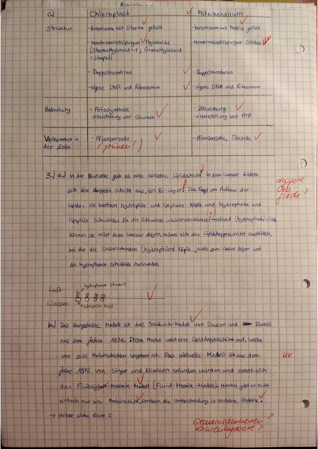 # Klausur Biologie - LEISTUNGSKURS
Thema: Zellen, Gewebe, Organe und ihre funktionsbezogene Differenzierung
Name: Jasmin
BE: 5656+1170
87