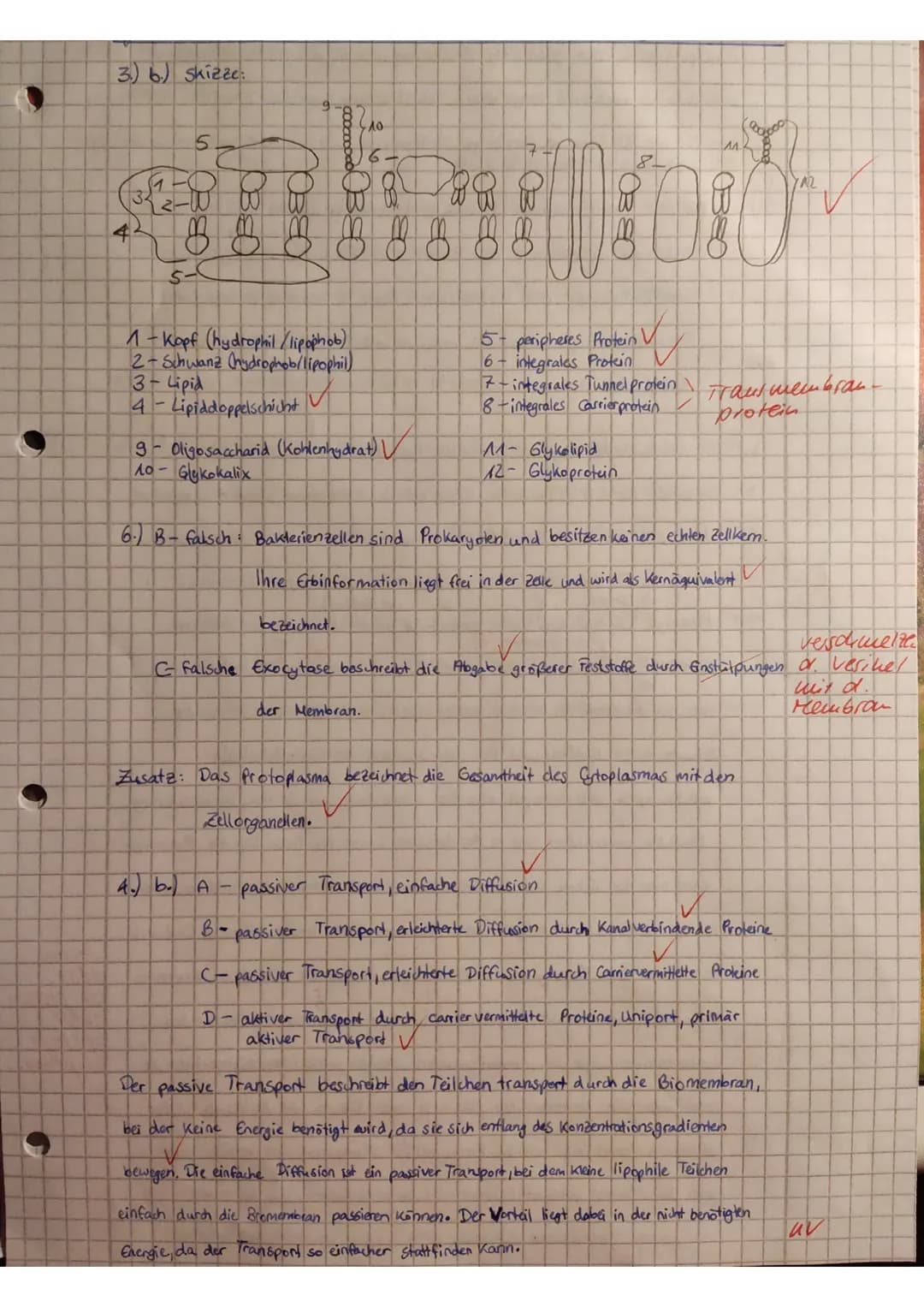 # Klausur Biologie - LEISTUNGSKURS
Thema: Zellen, Gewebe, Organe und ihre funktionsbezogene Differenzierung
Name: Jasmin
BE: 5656+1170
87